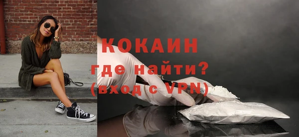 шишки Елизово