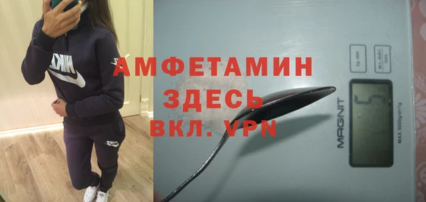шишки Елизово