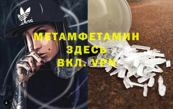 шишки Елизово