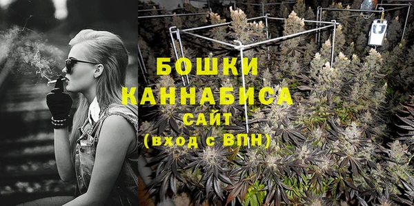 шишки Елизово