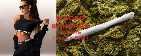 шишки Елизово