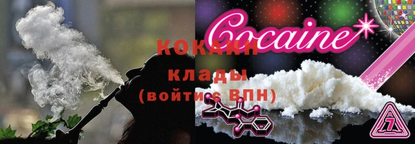 шишки Елизово