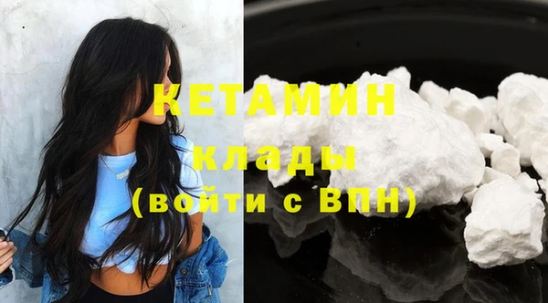 шишки Елизово