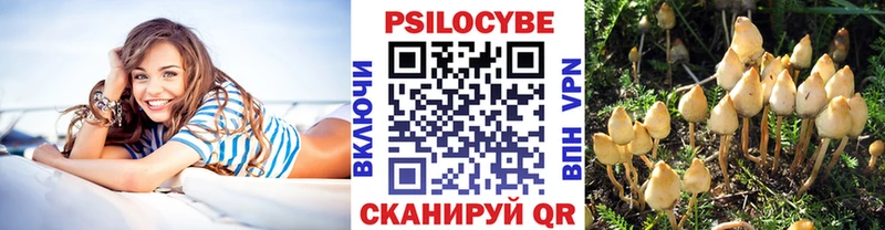 Псилоцибиновые грибы Cubensis  Зарайск 